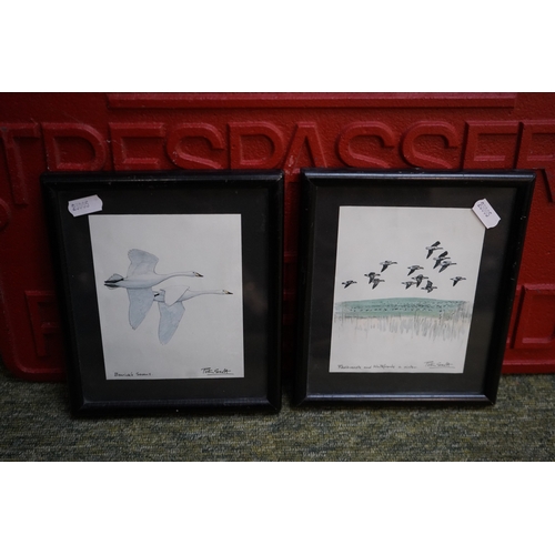 Lot 24        