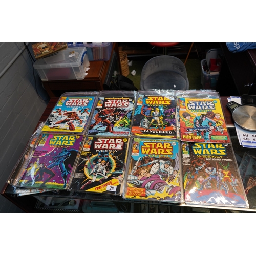 Lot 28        