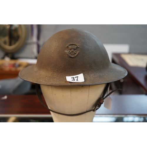 Lot 37        
