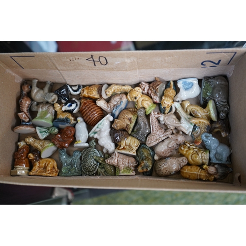 Lot 55        