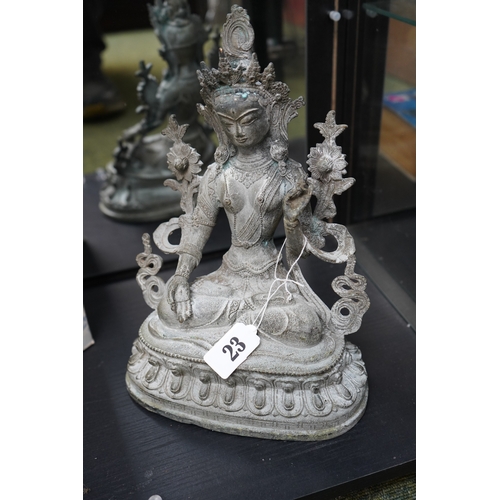 Lot 23        