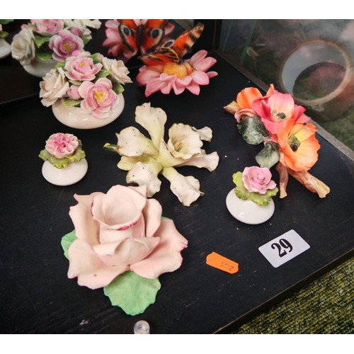 Lot 29        