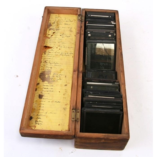 116 - A quantity of 19th century magic lantern slides on various subjects, mainly nature, in a pine box