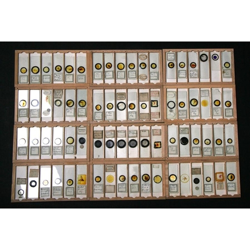 101 - Two boxed sets of microscope slides of biological, entomological and geological subject matter.