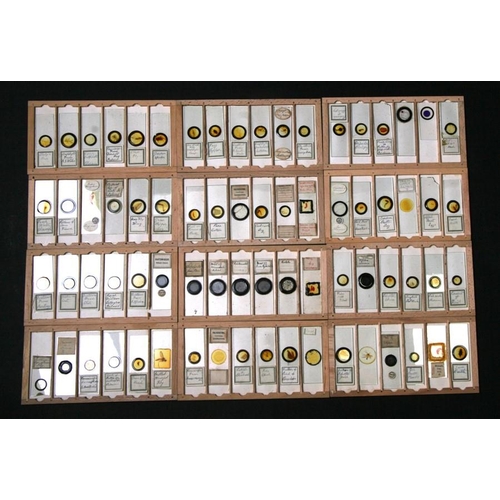 101 - Two boxed sets of microscope slides of biological, entomological and geological subject matter.