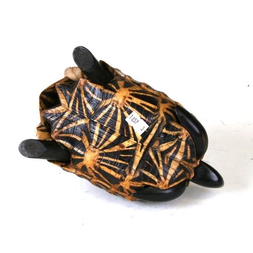 271 - An early 20th century Indian Star Tortoise Box / Tea Caddy, the hinged shell opening to reveal an in... 