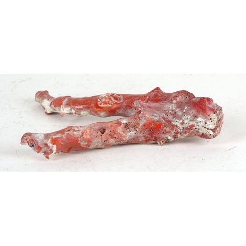 430 - A large two branch specimen of un-worked coral. 853g. 30cm (12 ins) high