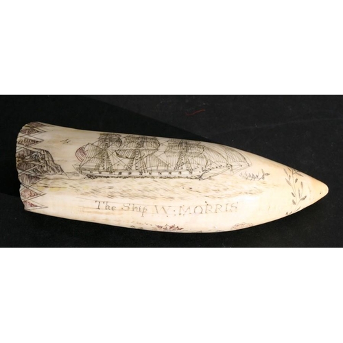 646 - A scrimshaw sperm whale tooth engraved with a ship in full sail, titled 'The Ship W. Morris' and a b... 