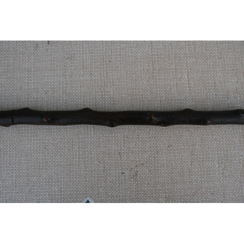 279 - A knotted wood (possibly Blackthorn) sword stick with tapering tapering steel blade. 85cm ( 33.5 ins... 