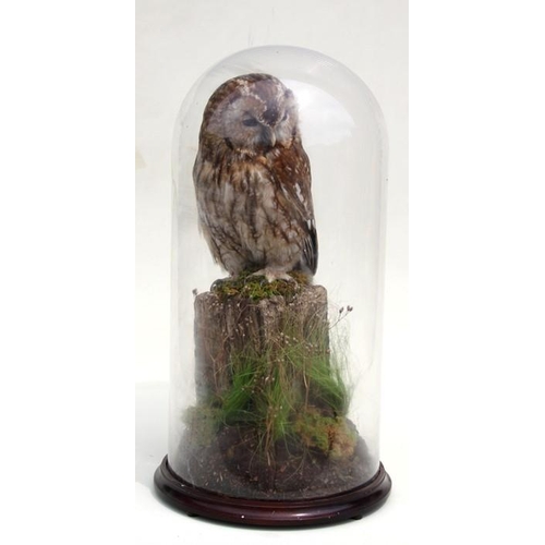 Lot 162       