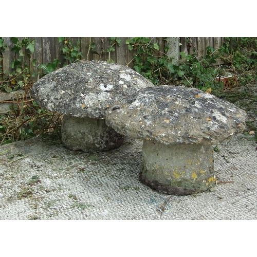 Lot 23        