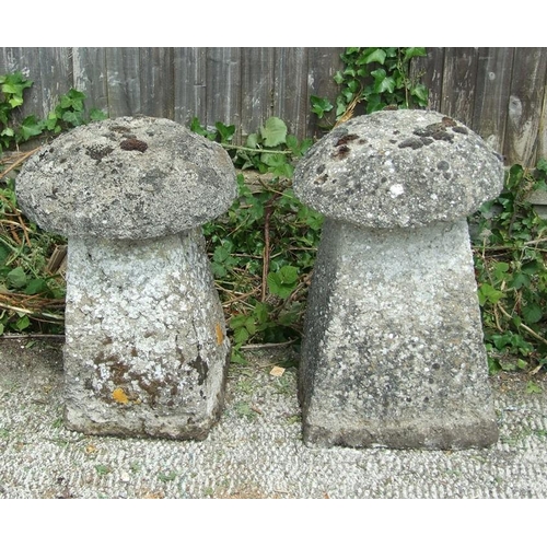 Lot 25        