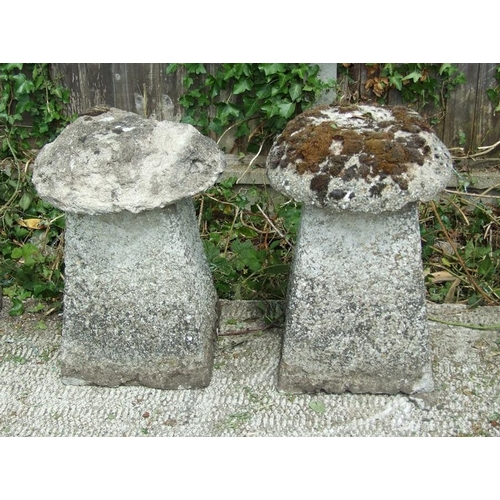 Lot 26        