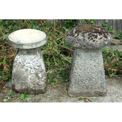 Lot 27        