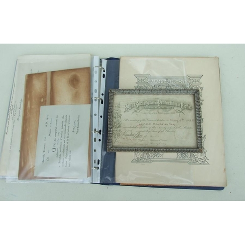 Lot 50        