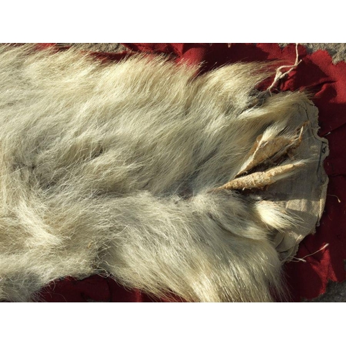 172 - Taxidermy.  A polar bear skin rug, approx 185 by 170cms.