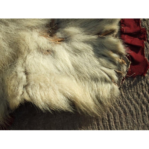 172 - Taxidermy.  A polar bear skin rug, approx 185 by 170cms.