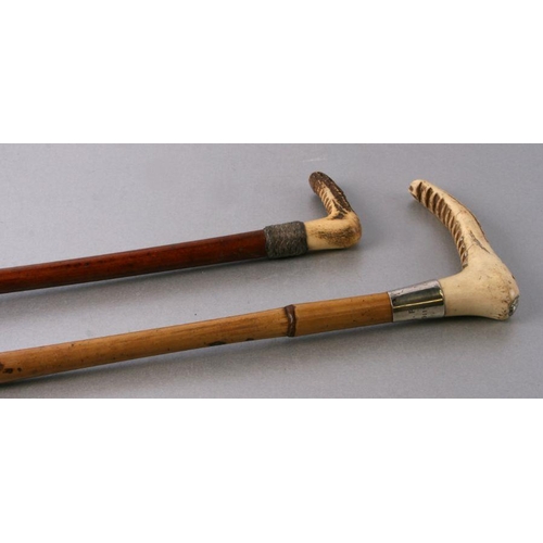 224 - An Edwardian ladies antler handled riding crop with bamboo shaft and silver collar by Callow, 16 Mou... 