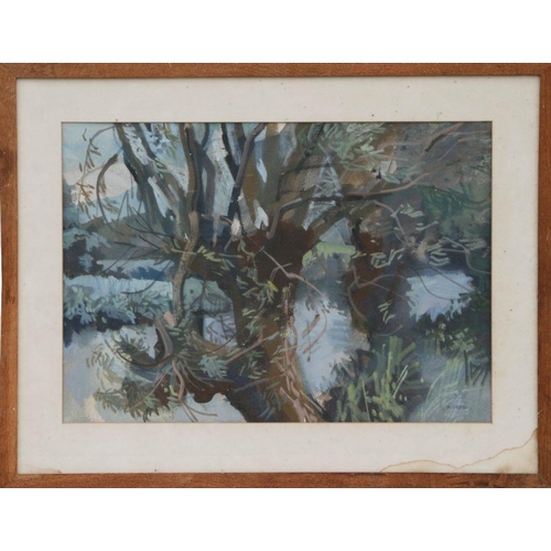 354 - Victorian School - A Wooded Glade - watercolour, in a carved oak frame with gilt slip, 25 by 37cms; ... 