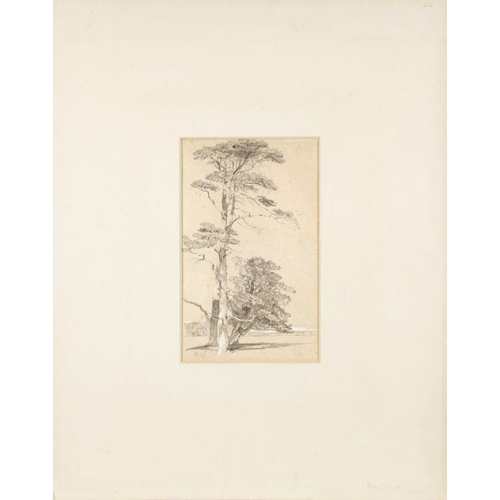 376 - Henry Dawson (1811-1878) Study of conifers Signed with monogram and dated 45 (lower left) Pencil hei... 