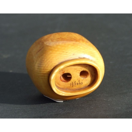 753 - An ivory netsuke in the form of a carp in a footed bowl, 4cms wide.