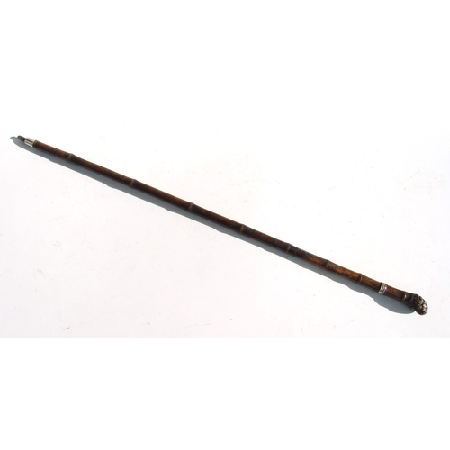 58 - A cane sword stick with 61.5cms (24.25ins) square section steel blade