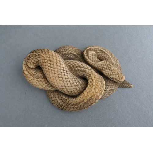 755 - A Chinese carved ivory figure in the form of a coiled snake, 4.5cms wide.