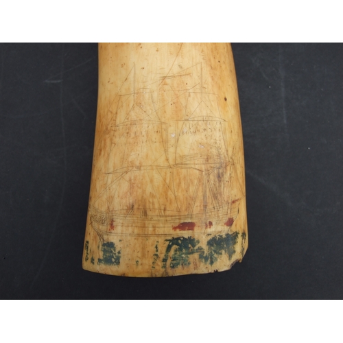 547 - A 19th century Scrimshaw decorated with a twin-mast ship with traces of painted decoration, 15cms lo... 