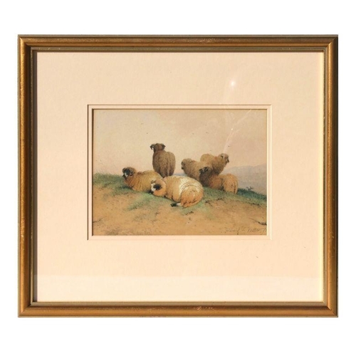 122 - Frederick E Valter (1850-1930) - A Flock of Sheep - watercolour, signed lower right, framed & gl... 