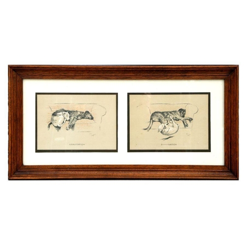 175 - A pair of Cecil Aldin prints, framed & glazed as one - Gravitation - and - D'Nation - each 20 by... 