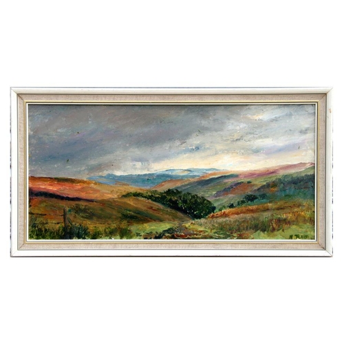 179 - N Teedd (early 20th century school) - Rural Farmland Scene - signed lower right, oil on board, 59 by... 