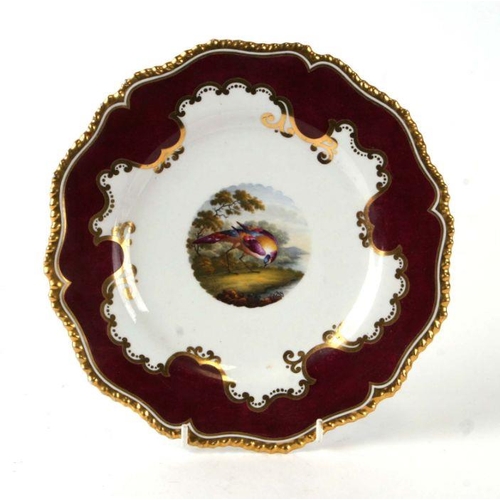 271 - A Flight Barr Barr Worcester plate with central painted bird within a purple and gilt border, impres... 