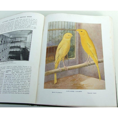 28 - Robson (John) Canaries, Hybrids and British Birds in Cage and Aviary, published by Cassell and Co. 1... 