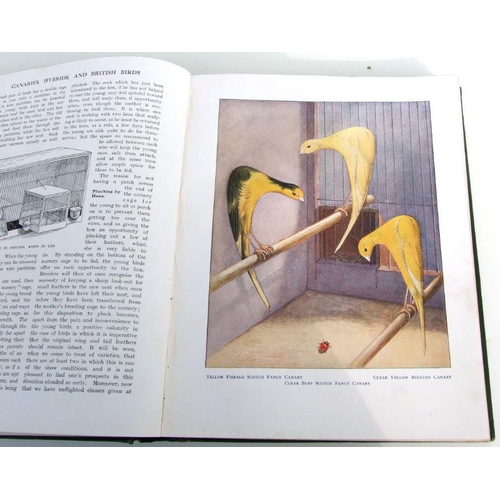 28 - Robson (John) Canaries, Hybrids and British Birds in Cage and Aviary, published by Cassell and Co. 1... 