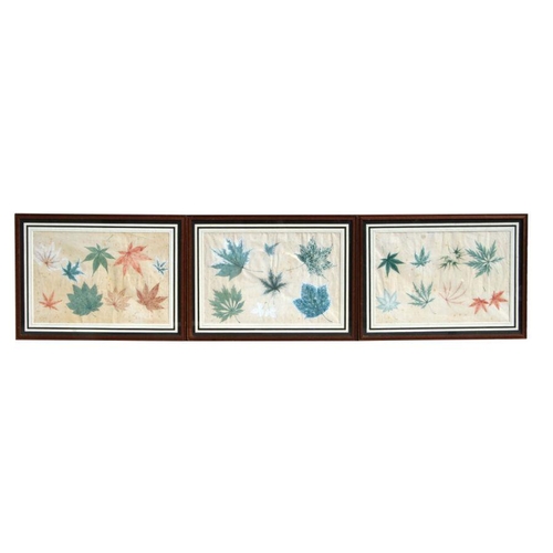 566 - A set of five late 19th century Chinese botanical leaf studies, watercolour with bodycolour, all fra... 