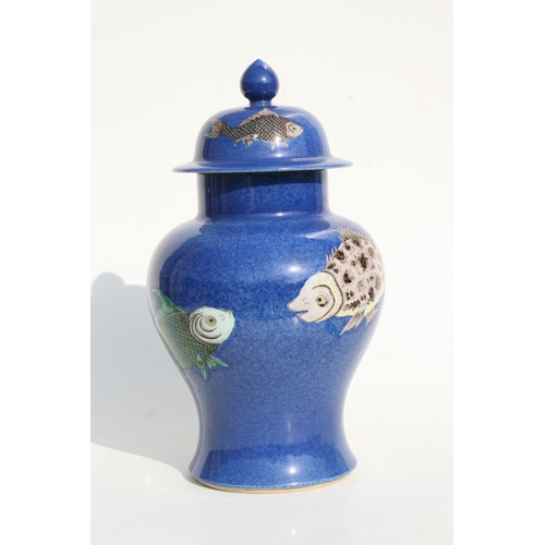 510 - A large Chinese baluster vase and cover decorated with fish on a powder blue ground, 36cms high.