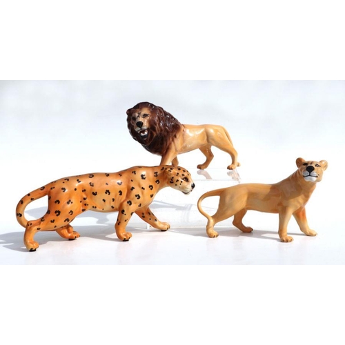 342 - A Beswick lion and lioness; together with a leopard, all gloss (3).