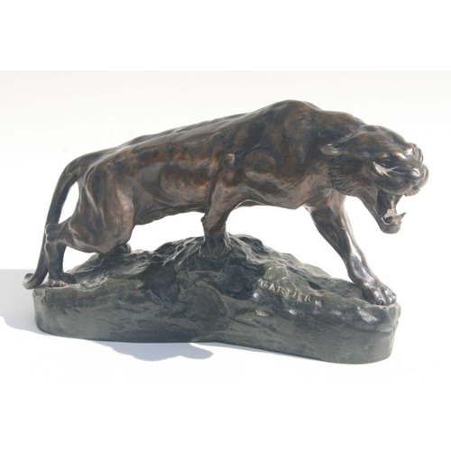 480 - Thomas Francois Cartier (French 1879-1943) a bronze study of a snarling tiger, on a naturalistic roc... 