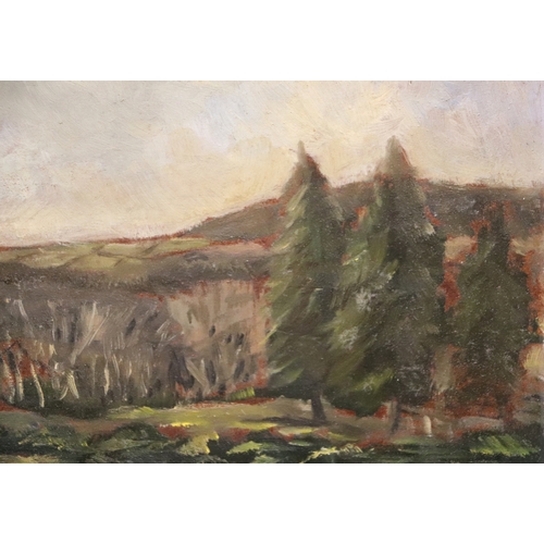 213 - In the manner of C W Harvey (Irish 1895-1979) - The Mournes, County Down - signed & dated '55 lo... 