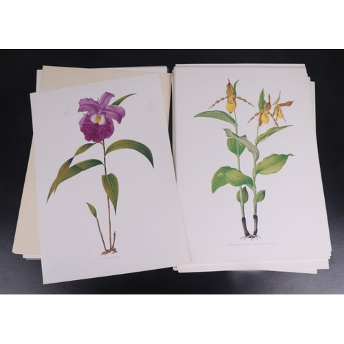 37 - Thesaurus Woolwardaie Orchids of the Marquis of Lothian, published by the Royal Britannic Gardens, K... 