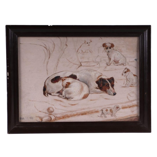 816 - English school - Study of a Jack Russell with Puppies - initialled 'MHR' and dated 1941 lower left, ... 