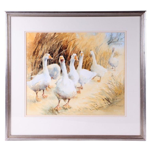 828 - Adelene Fletcher (modern British) - Geese on a Path - signed lower right, watercolour, framed & ... 