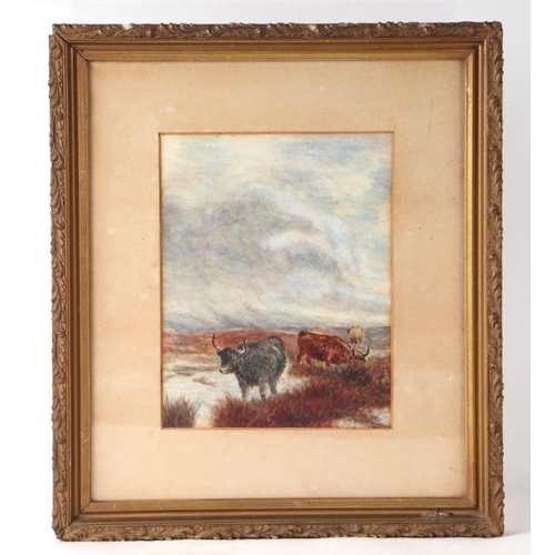 837 - N Knight - Highland Cattle Grazing - signed lower left, watercolour, framed & glazed, 18 by 23cm... 