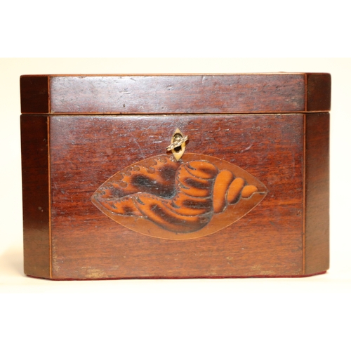 192 - A Regency mahogany two-division tea caddy with shell inlay decoration, 18cms wide.