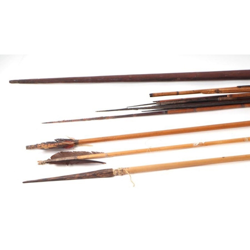 47 - A Native South American bow and arrows.