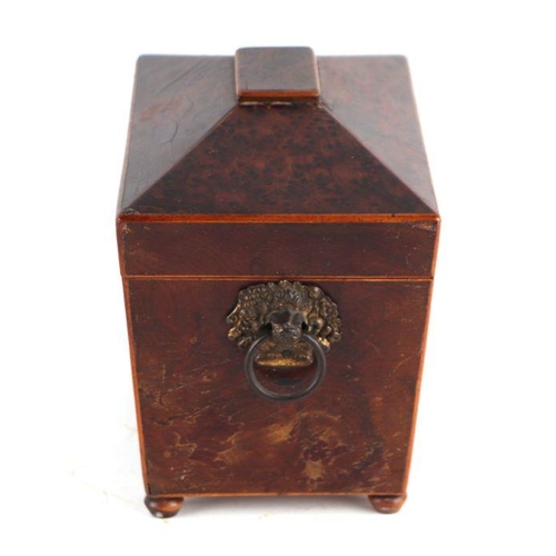 506 - An early 19th century sarcophagus form yew wood two-division tea caddy with basket ring handles, 19c... 