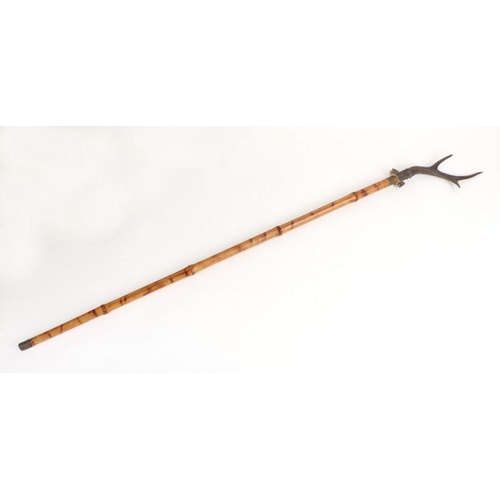 75 - A bamboo shafted sword stick with a stag horn handle and having a 61.5cms (24.25ins) square section ... 