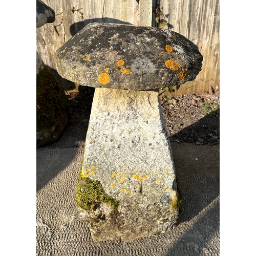 18 - A staddle stone, 85cms high.