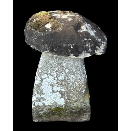 13 - A staddle stone, 80cms high.