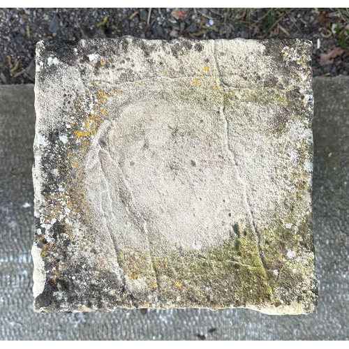 19 - A staddle stone with associated square top, 67cms high.